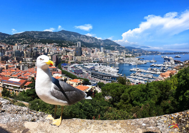 Cum sa calatoresti ieftin la Monaco?